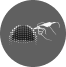 Micropigmentação  Capilar